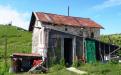 dsc01000.jpg